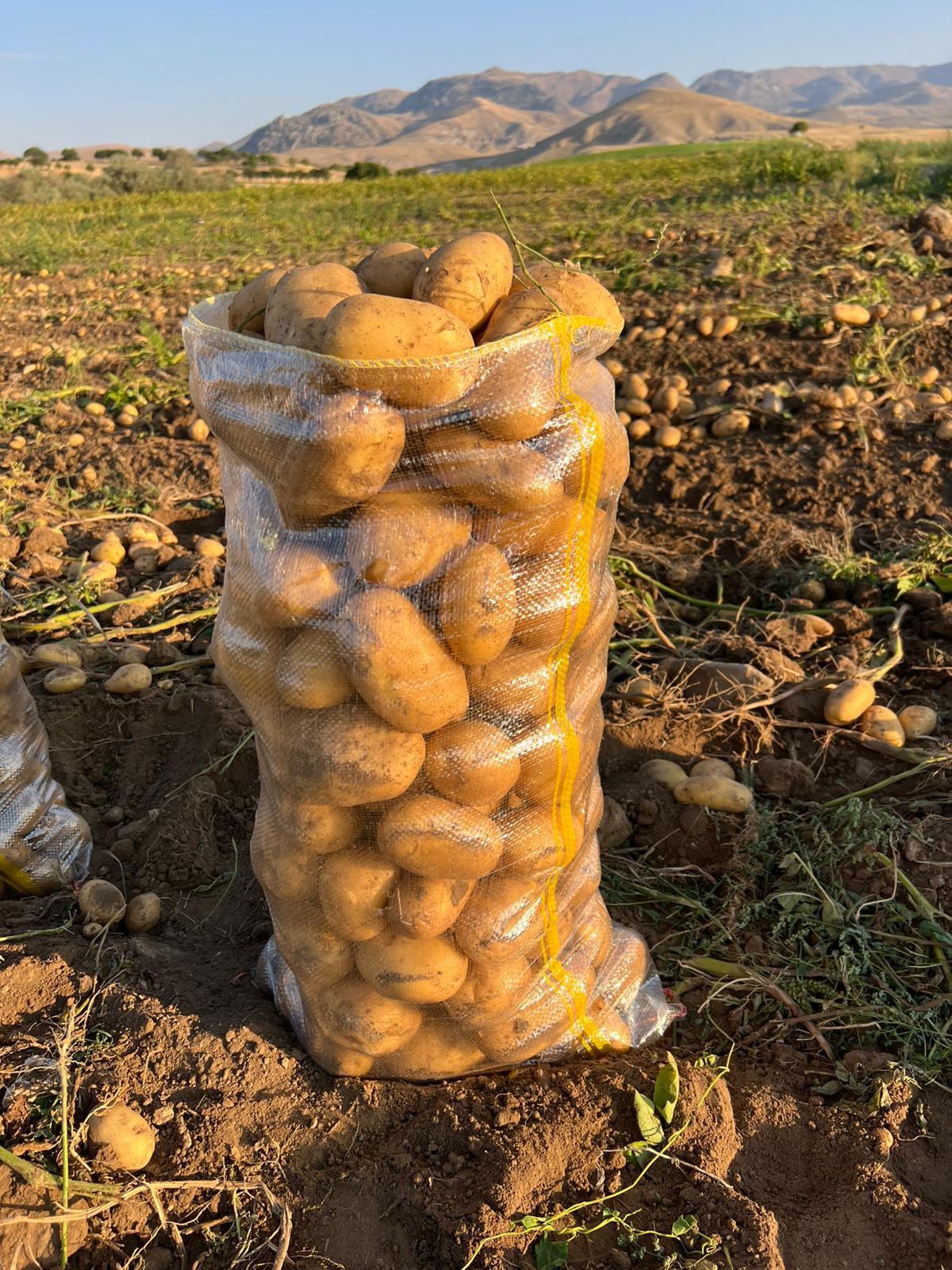 Tarladan Sofranıza